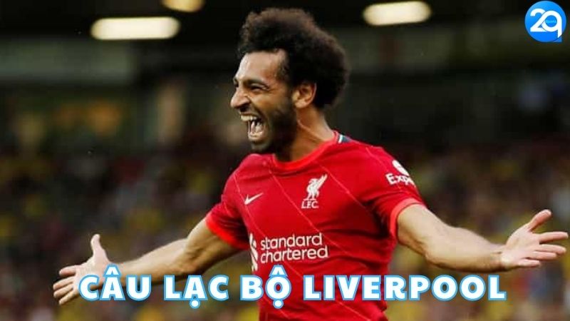 cau-lac-bo-liverpool