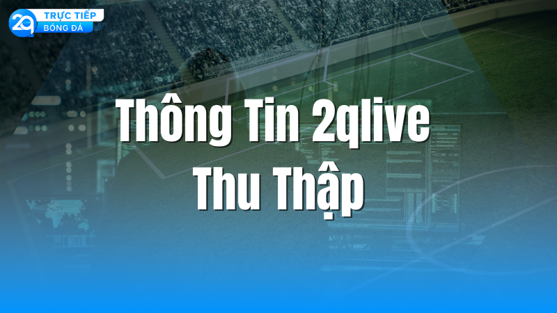 thong-tin-2qlive-thu-thap