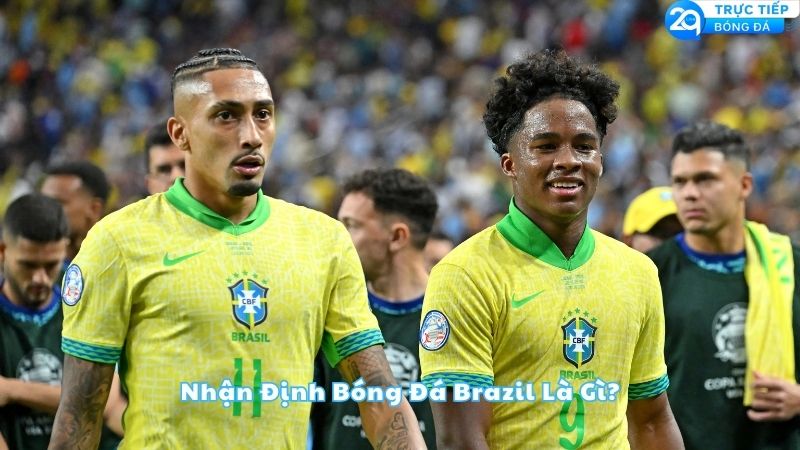 nhan-dinh-bong-da-brazil-la-gi